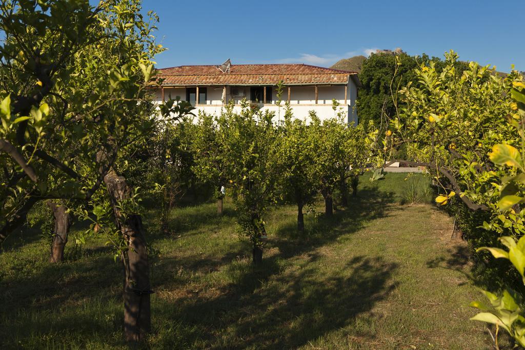 特拉皮泰罗Agriturismo Terrenia别墅 外观 照片