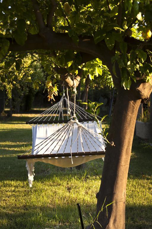 特拉皮泰罗Agriturismo Terrenia别墅 外观 照片